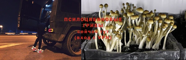 mdpv Осташков