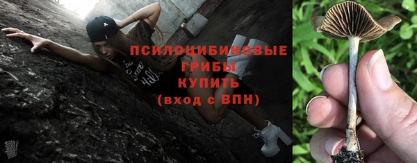соль курить ск Осинники
